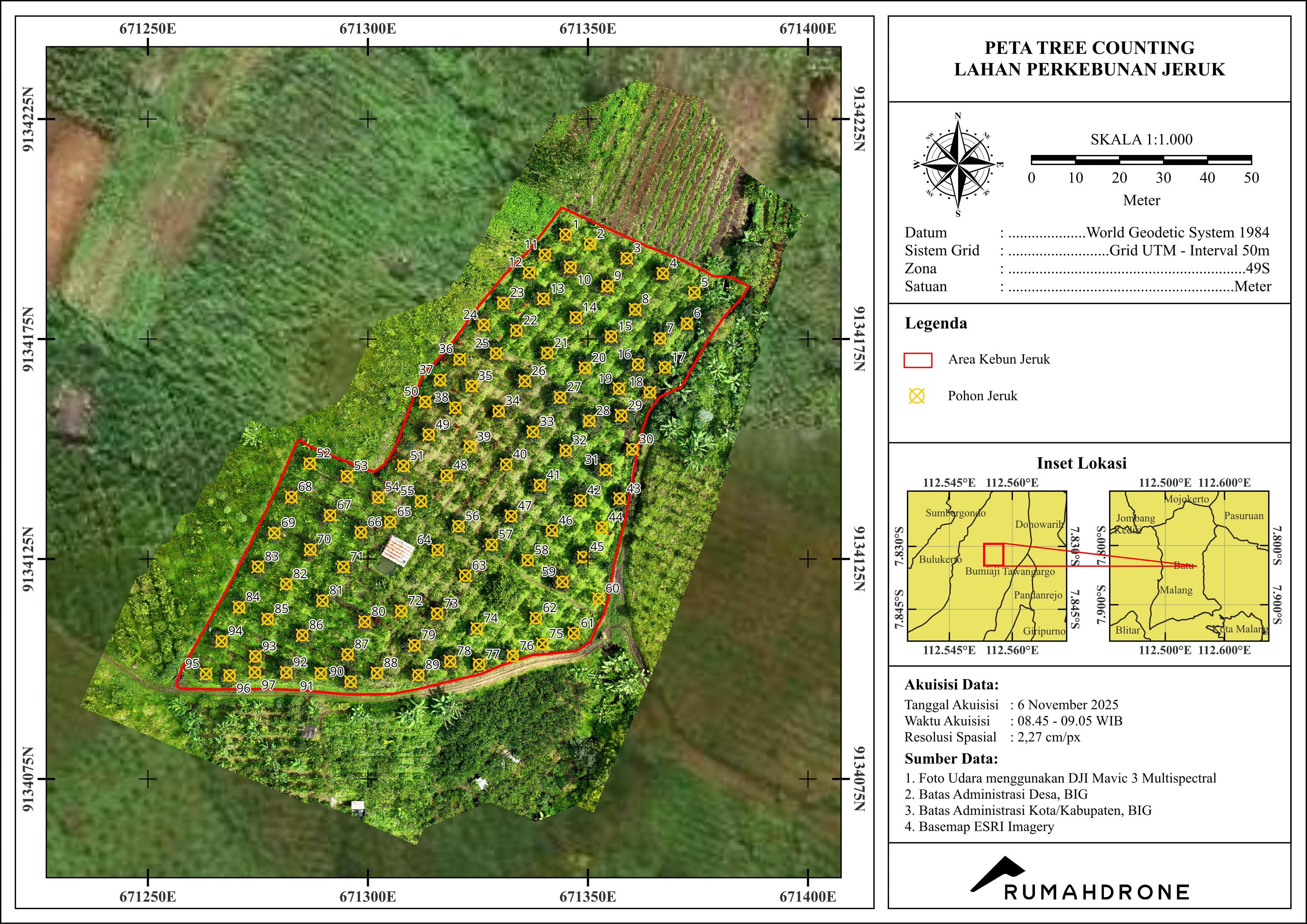 Tree Counting Pohon Jeruk