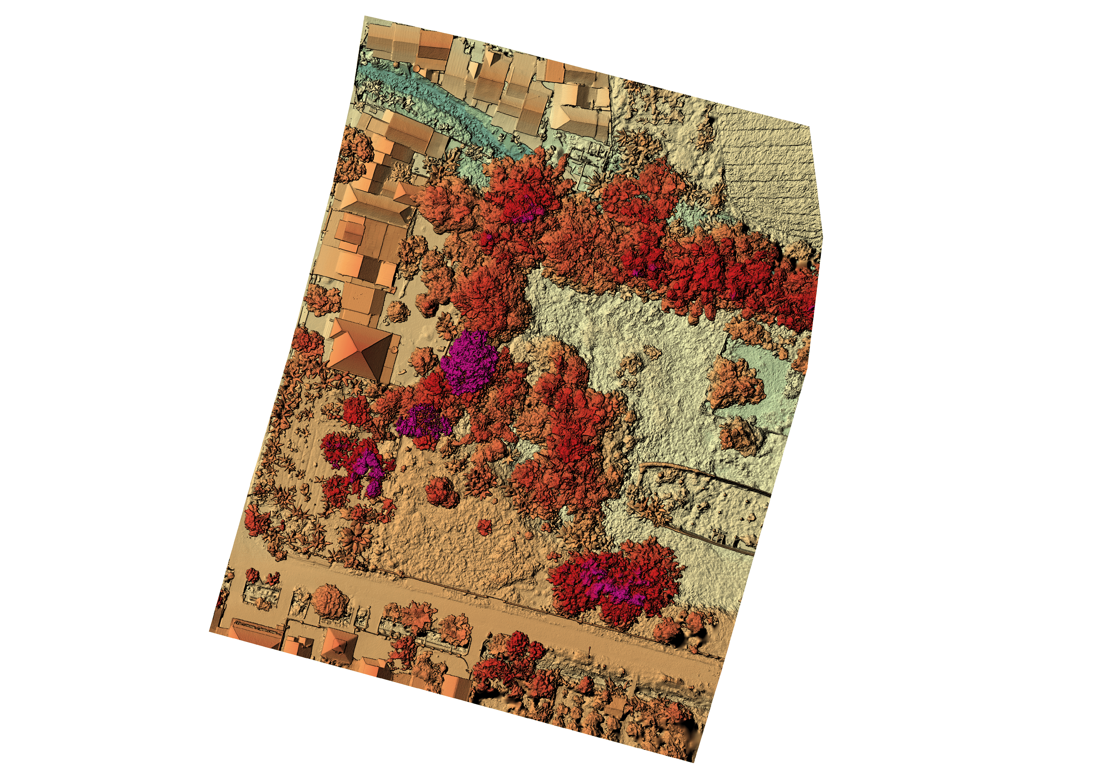 Digital Surface Model (DSM)